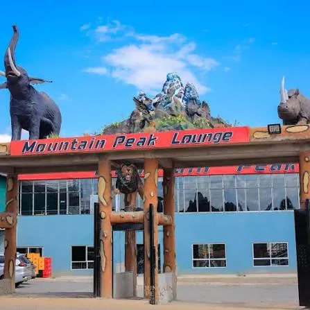 Gallery photo 1